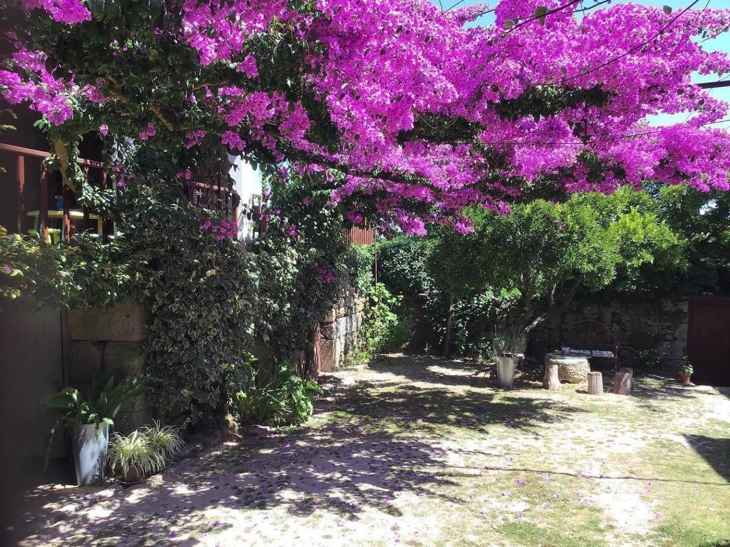 Casa De Cerqueda Lägenhet Celorico De Basto Exteriör bild