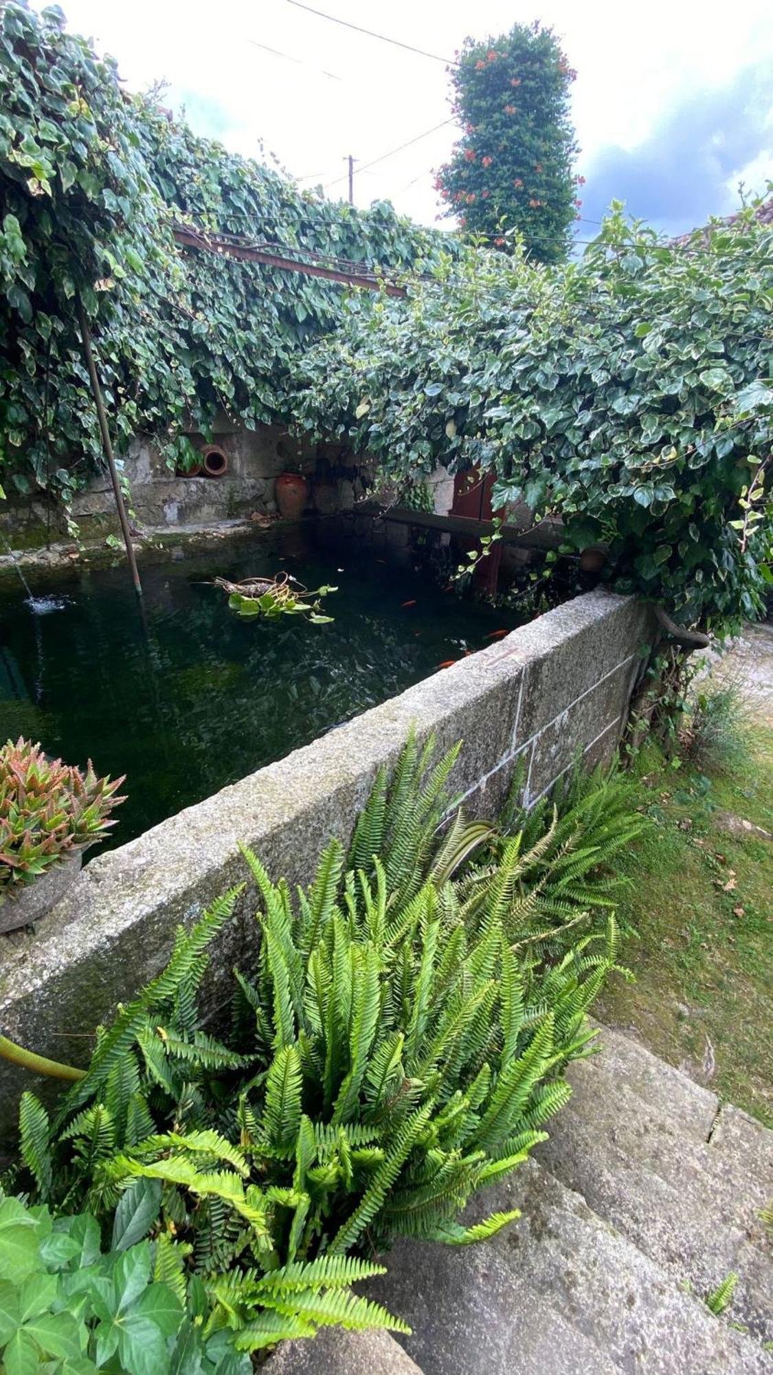 Casa De Cerqueda Lägenhet Celorico De Basto Exteriör bild