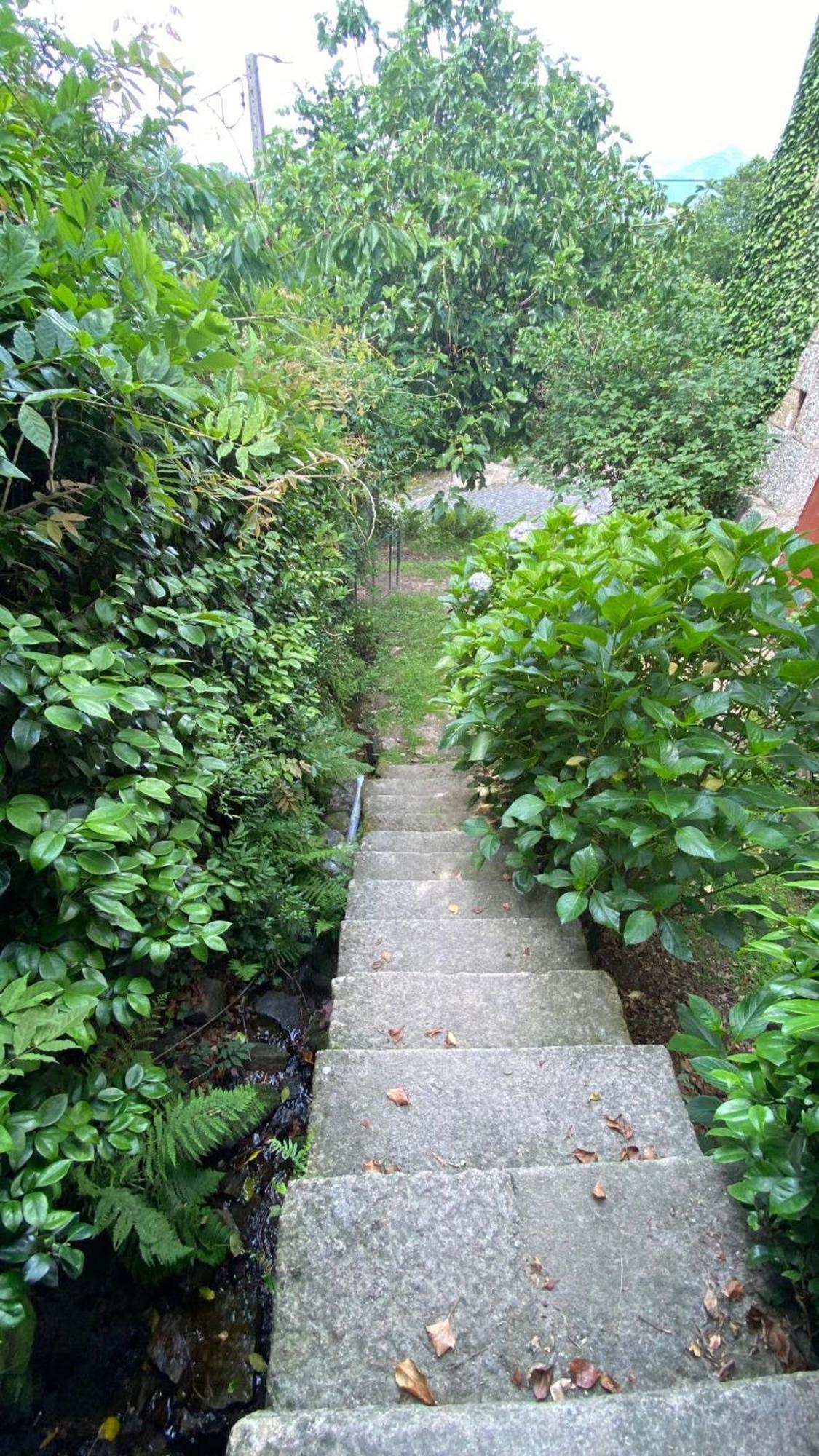 Casa De Cerqueda Lägenhet Celorico De Basto Exteriör bild