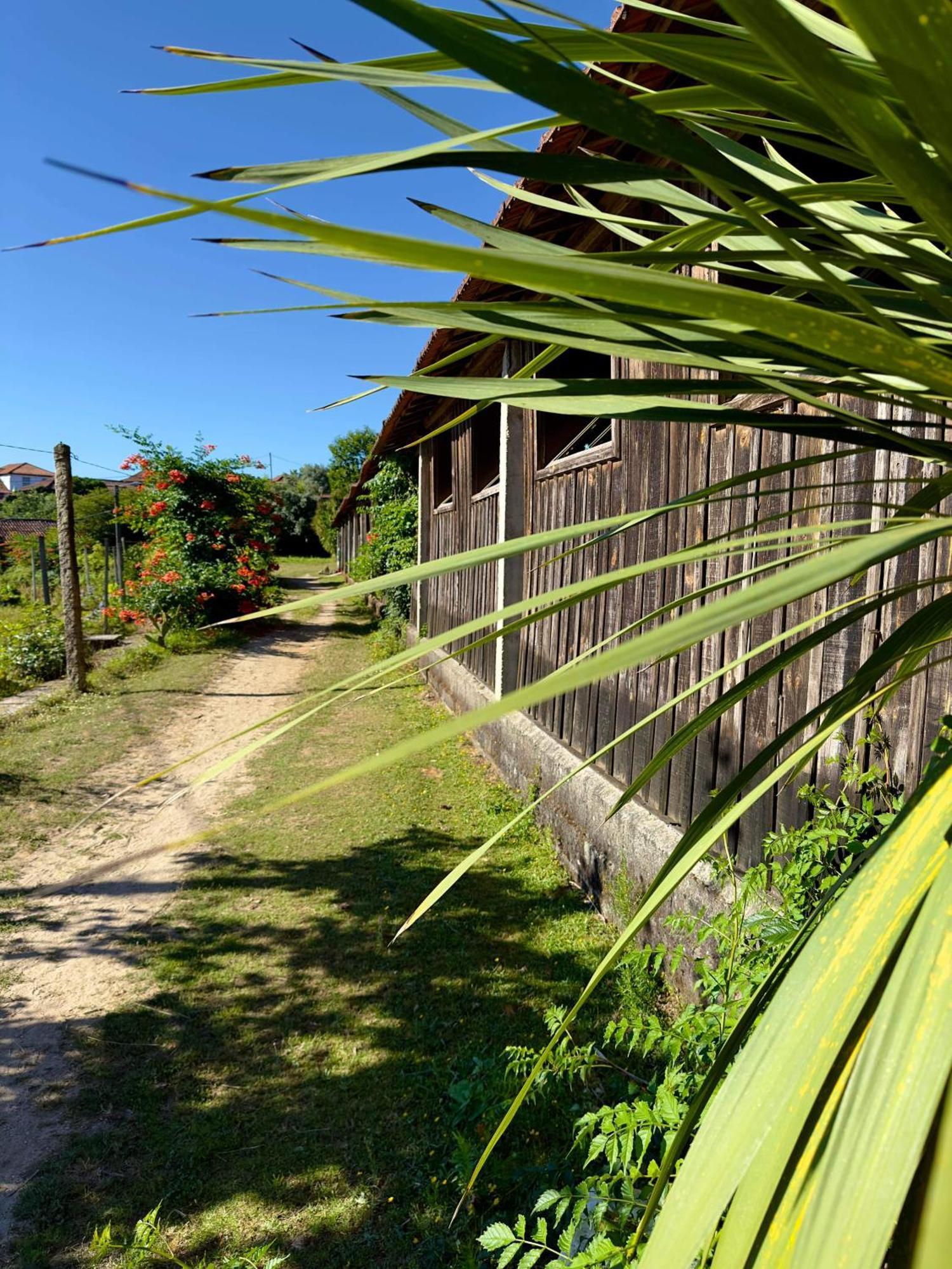 Casa De Cerqueda Lägenhet Celorico De Basto Exteriör bild